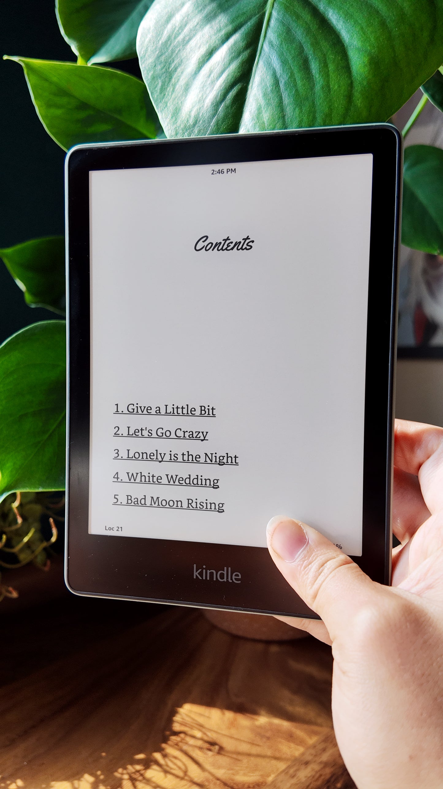 The King of Nothing (E-Book Version)