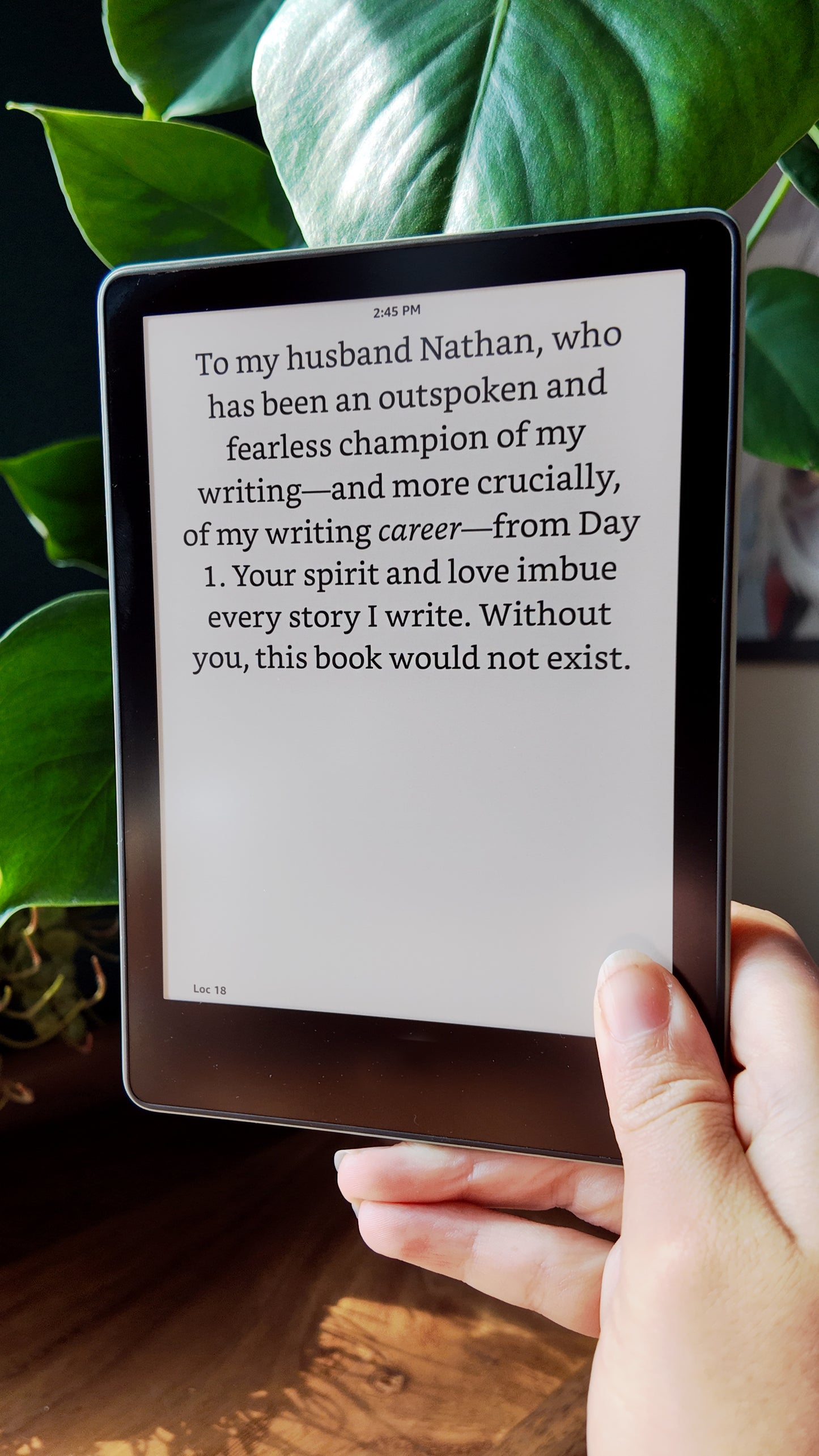 The King of Nothing (E-Book Version)